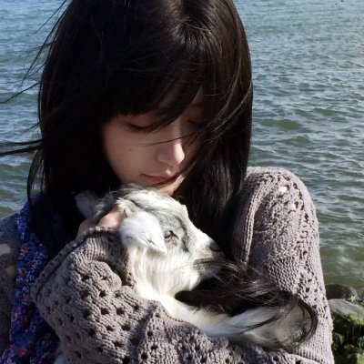 主播流浪记