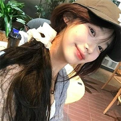 狐狸捕手